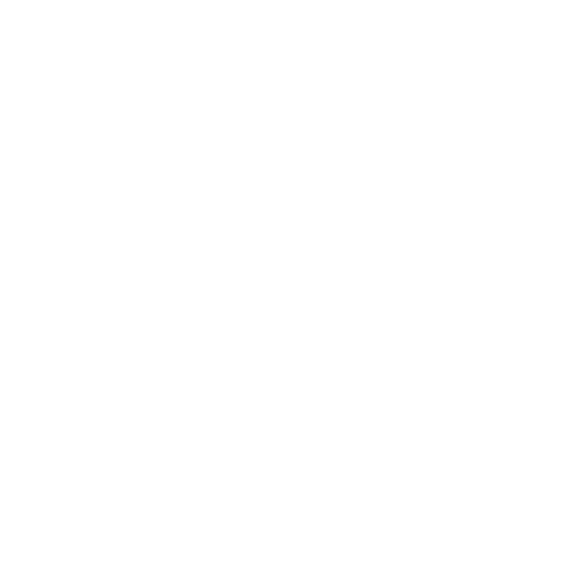 webbricks logo